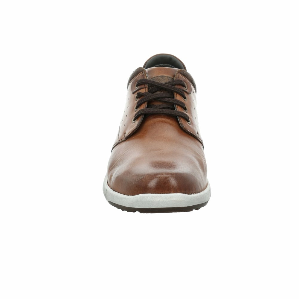 Brown Josef Seibel Enrico 13 Men's Sneakers | GMX812593