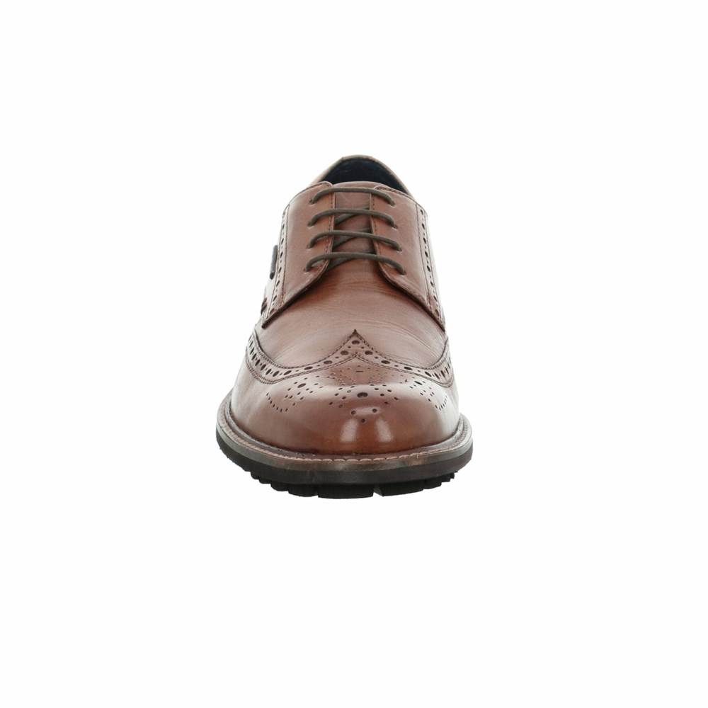 Brown Josef Seibel Jasper 53 Men's Lace Up Shoes | HJN541893